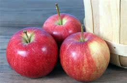 2 Gala apples cored and sliced nutritional information