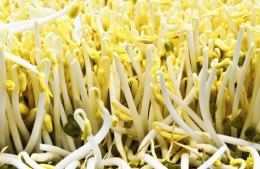 120g beansprouts nutritional information