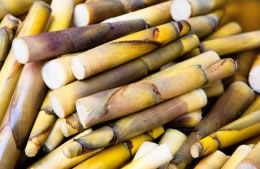 230g bamboo shoots nutritional information