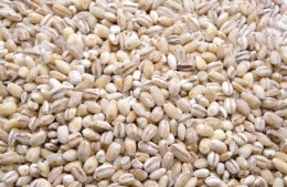 Barley - whole grain nutritional information