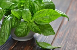 40g bag of basil nutritional information