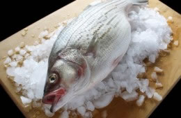 Bass - striped nutritional information