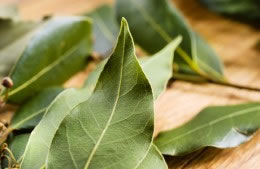 0.5g/1 bay leaf nutritional information