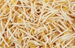 Beansprouts - tinned nutritional information