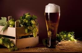 Bitter - beer nutritional information