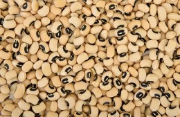 Black eye beans - dried nutritional information