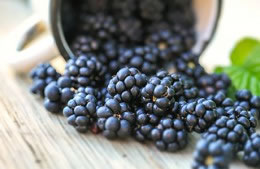 Blackberries nutritional information