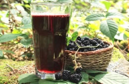 Blackberry juice nutritional information