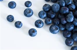 Blueberries dried nutritional information