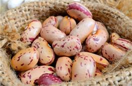 Borlotti beans - cranberry - dried nutritional information