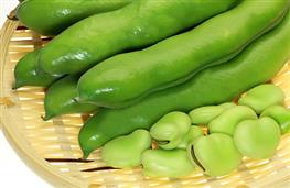 Broad beans in pod - fava nutritional information