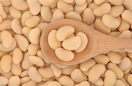 Butter beans  - lima -dried nutritional information