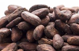Cacao beans/nibs nutritional information