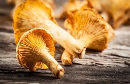 150g chanterelle mushrooms halved nutritional information