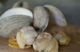 Clams meat only nutritional information
