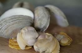 3.6kg small quahogs or large cherrystone clams, scrubbed and rinsed, opened clams discarded nutritional information