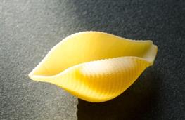 Conchiglie pasta - dried nutritional information