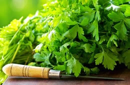 1 bunch (25g) of fresh chopped coriander nutritional information