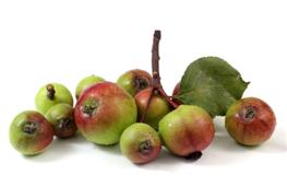 Crab apples nutritional information