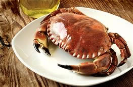 Crab whole cooked  nutritional information