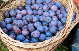 Damsons nutritional information