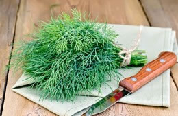 20g/small bunch dill chopped nutritional information