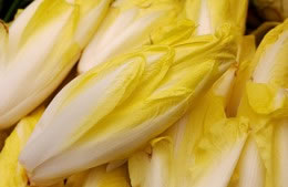 Endive nutritional information