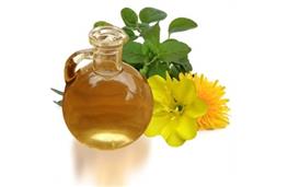 Evening primrose oil nutritional information