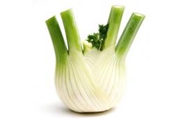 220g/1 large fennel bulb, trimmed and thinly sliced nutritional information