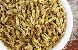 1 tsp fennel seeds nutritional information