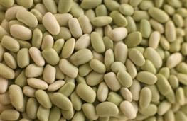 Flageolet beans - tinned nutritional information