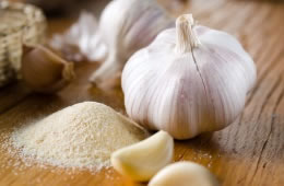1g garlic salt nutritional information