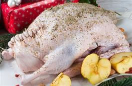 Goose - meat fat & skin nutritional information