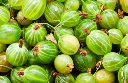 900g gooseberries nutritional information