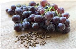 Grape seeds nutritional information