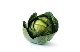 Green cabbage - Autumn/Winter nutritional information