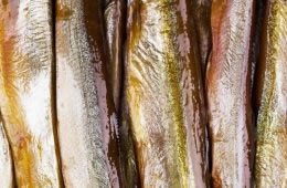 Herring  fillet - salted and dried nutritional information