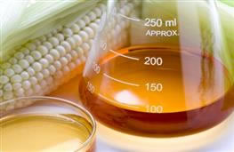 High fructose corn syrup nutritional information