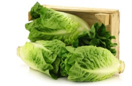 100g little gem lettuce nutritional information