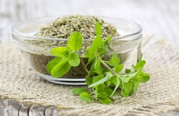 24g/4 tsp fresh marjoram, leaves picked nutritional information