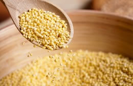 Millet nutritional information