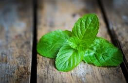 10g/large handful mint leaves nutritional information
