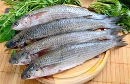 Mullet grey fillet nutritional information