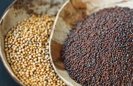 ½ tsp black mustard seeds  nutritional information