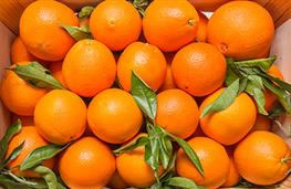 1 orange sliced nutritional information