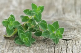 1 small handful of fresh oregano or basil nutritional information