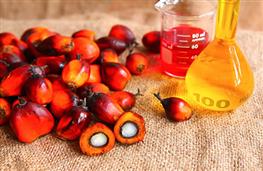 Palm oil nutritional information