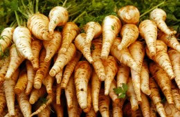 550g parsnips, choose long, thin ones if you can, peeled then halved lengthways nutritional information