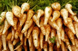 500g/8 large parsnips, sliced into thirds lengthways nutritional information