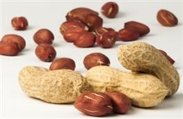 Handful of raw peanuts nutritional information